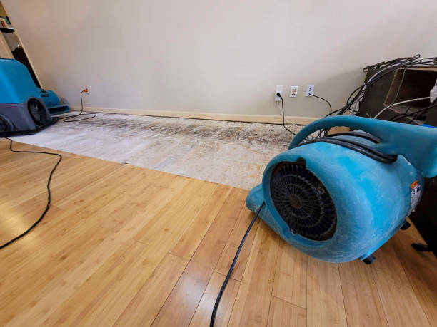 Professional Water Damage Repair technician working in Center Tuftonboro, NH